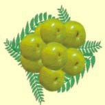 Amla Candy